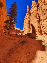 bryce canyon panorama at noon, from the high pathway