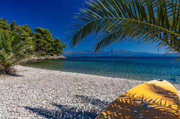 Windsurfing boards on the beach in the shade under palm trees