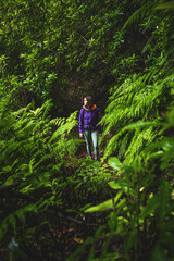 Female tourist wearing a hard shell rain jacket looks into the forest as she walks through ferns in a wet rainforest. Poco dos Pulgas waterfalls, Madeira, Portugal, Europe.