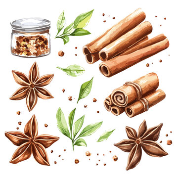 Watercolor Illustration of Aromatic Spices