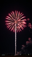 Red-white-blue firework explosion lighting up the night sky