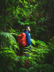 Male tourist carrying a rain-covered backpack smiles while walking through ferns in a humid...