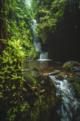 Peaceful rainforest scene at a natural waterfall in the depths of the rainforest. Poco dos Pulgas waterfalls, Madeira Island, Portugal, Europe.