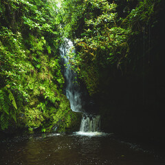 Natural waterfall and pool in the depths of the rainforest on a rainy day. Poco dos Pulgas waterfalls, Madeira Island, Portugal, Europe.