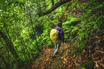 Female tourist wearing a rain jacket and carrying a raincoat backpack walks along a forest trail covered with fallen leaves. Poco dos Pulgas waterfalls, Madeira, Portugal, Europe.