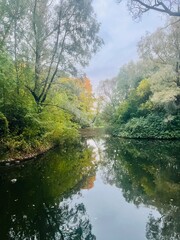 autumn trees reflection on the pond surface, calm water surface, mirror, cloudy sky