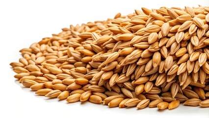 Closeup of emmer wheat a type of ancient grain isolated on a white background, field, sustainable, crop, agriculture, closeup, harvest, healthy, white background, rustic, cereal