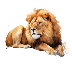 Obraz premium Wildlife mammal animal relaxation.