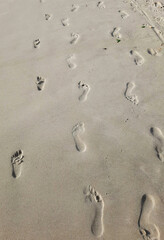barefoot prints on sea sand