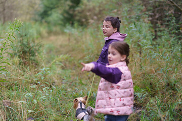 Little warmly dressed girls on a walk in a dense thick forest in autumn. Concept of a happy childhood in nature