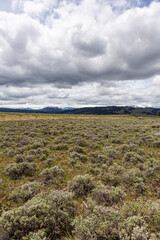 Expansive Sagebrush Landscape Under Dramatic Clouds in Yellowstone National Park, Wyoming, USA
