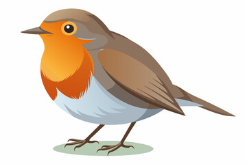 Robin with a tree branch realistic high resolution smooth vector illustration design on a white background