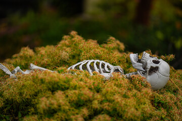 Halloween Celebration. Halloween pumpkin and skeleton for decorated house. Scary Decorated at front yard of a American home. Trick or treat. Halloween background. Autumn holiday of Halloween.