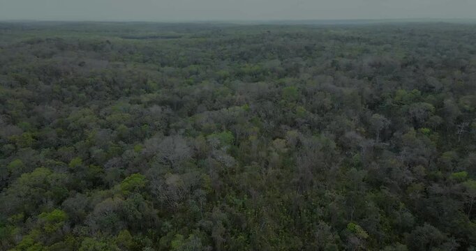 Vuelo por la Selva Maya de la Pen&iacute;nsula de Yucat&aacute;n. Campeche.