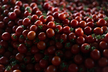 Tomatoes Gleaming on a Bustling Market Stand
