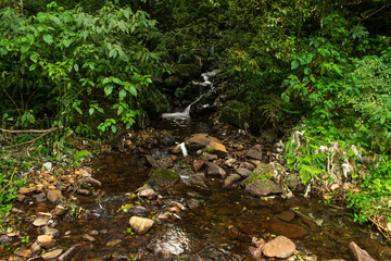 Creek full of trash in the countryside of Sao Francisco de Paula, South of Brazil
