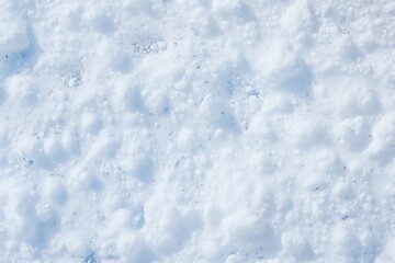 Obraz premium Freshly fallen snow texture
