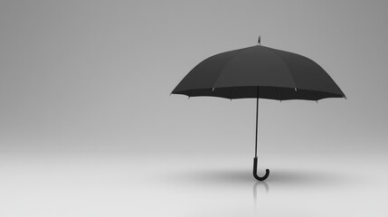 Classic black umbrella closed and standing upright against a plain background.