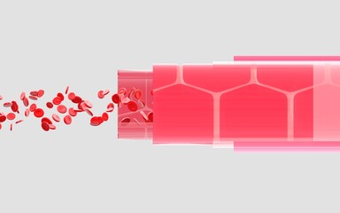 3D illustration of a glass artery or vein showing their layers, with the movement of red blood cells. Image of blood circulation in the air coming out of a cut artery.