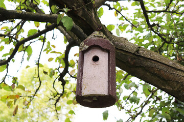 empty birdhouse in autumn garden