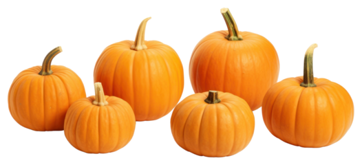 PNG Pumpkin vegetable squash plant.