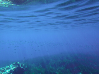 Dark blue ocean surface seen from underwater. Abstract waves underwater and rays of sunlight shining through, Sun light rays undersea deep, Underwater background with sea bottom, Mediterranean sea.