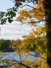 Beaytiful early autumn colors on trees next to a lake. Sunlight and blue sky. Landscape photography.