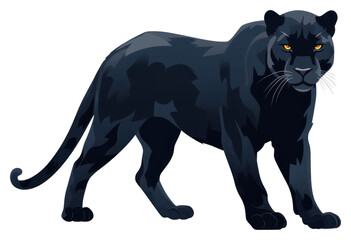 PNG Wildlife mammal animal carnivora.