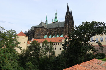 Fototapeta premium Scenic View of St. Vitus Cathedral's Gothic Towers and Historic Prague Castle Buildings Amid Lush Greenery