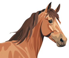 Obraz premium PNG Brown horse stallion animal mammal.