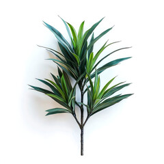 Fototapeta premium A single stem of artificial green leafy plant isolated on white background.