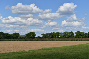 Fertilizer soil for growing plants. Accelerates plant growth. Land for plant background. Clean soil for cultivation. The soil or peat for gardening. Textured soil ground surface as background
