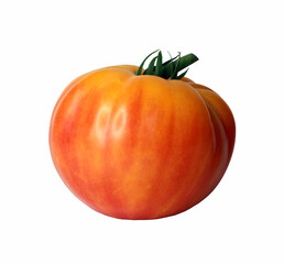 Isolated tomato fruit on white background. Pineapple Organic Heirloom Tomato