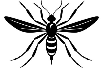 Mosquito silhouette, Bloodsucking icon black symbol vector, Close up mosquito silhouette

