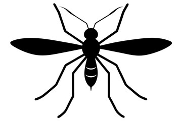 Mosquito silhouette, Bloodsucking icon black symbol vector, Close up mosquito silhouette

