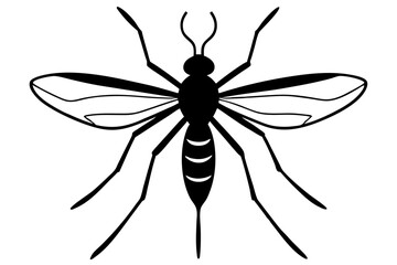 Mosquito silhouette, Bloodsucking icon black symbol vector, Close up mosquito silhouette

