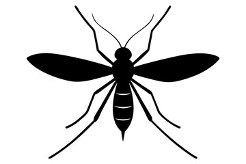 
Mosquito Icon, Bloodsucking Vector Silhouette, Close Up Mosquito Silhouette