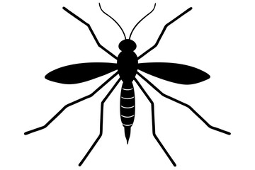 
Mosquito Icon, Bloodsucking Vector Silhouette, Close Up Mosquito Silhouette