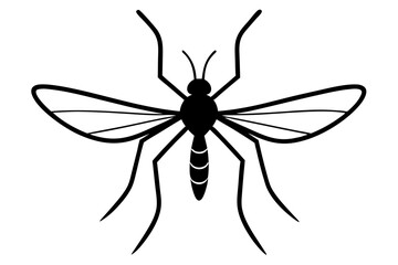 Mosquito silhouette, Bloodsucking icon black symbol vector, Close up mosquito silhouette

