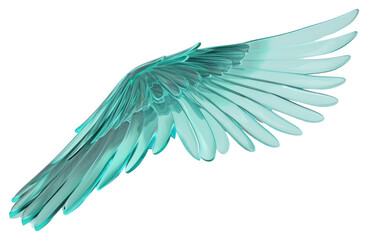 Obraz premium PNG Angle wing turquoise bird white background.