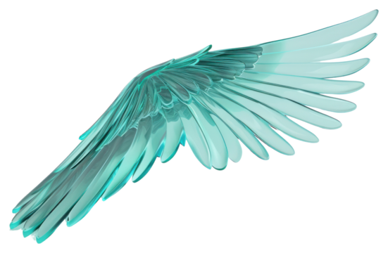 PNG Angle wing turquoise bird white background.