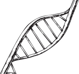 Obraz premium black and white line drawing of a double helix structure possibly depicting DNA or another molecule. It is a simple and bold illustration that would be useful for educational or scientific purposes.