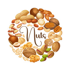 Vector cartoon circle frame from different nuts types such as cashew,walnuts,macadamia,brazil nut,pecan,hazelnut,peanut,pistachios,nutmeg,pine nuts,almond isolated on white background.	