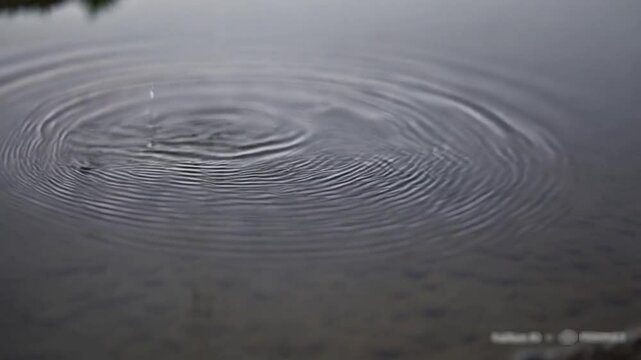 this Beautiful Snowy Trails in the Wilderness: Explore the pristine beauty of snowy trails in the wilderness, inviting adventure and exploration in a stunning winter landscape.