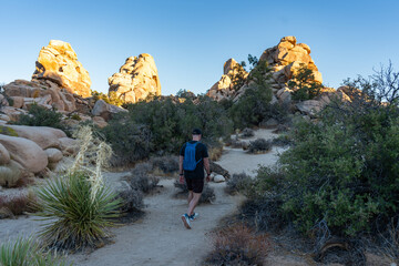 Fototapeta premium Hiker exploring Mojave Desert, Joshua Tree National Park, California landscape