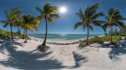 A panoramic view of a pristine white sand beach with crystal clear turquoise water, palm trees swaying in the wind, and the sun shining brightly in the blue sky.
