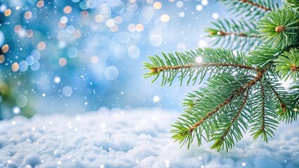 christmas tree branch on snowy background with light bokeh snowflakes and holiday feeling