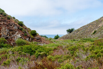 countryside with mountains