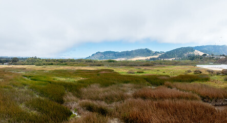 panoramic drone view of meadow with mountains
