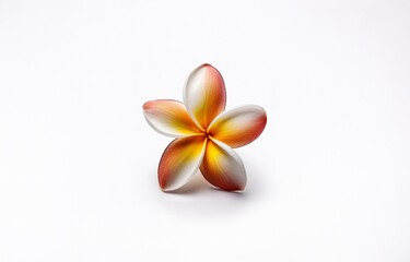 Single white and yellow flower with red tips on petals, isolated on a white background.